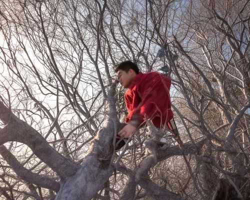 好,我现在需要帮用户写一篇关于先天鼻畸形矫正的文章。用户是上海鼻整形医生,所以文章需要专业且详细。首先,我得理解先天鼻畸形的定义和分类,这样才能全面覆盖内容 好,我现在需要帮用户写一篇关于先天鼻畸形矫正的文章。用户是上海鼻整形医生,所以文章需要专业且详细。首先,我得理解先天鼻畸形的定义和分类,这样才能全面覆盖内容