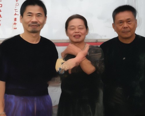 好,我现在需要帮用户写一篇关于假体隆鼻的文章。用户已经给了一个标题假体隆鼻,从选择到术后护理全解析,接下来我要详细分析如何展开这篇文章