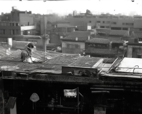 好，我现在需要帮用户写一篇关于垫高鼻梁的文章。用户是一位上海的鼻整形医生，所以文章需要专业且详细。首先，我得确定文章的结构，可能包括垫高鼻梁的重要性、手术方法、恢复期、注意事项等等