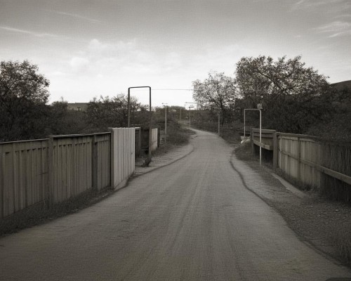 好，我现在需要帮用户写一篇关于鼻翼内收的文章。用户是一位上海的鼻整形医生，所以文章需要专业且详细。首先，我得理解用户的需求，他们可能需要一篇结构清晰、内容详实的文章，用于介绍鼻翼内收手术