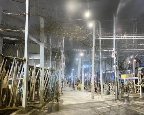 好，我现在需要帮用户写一篇关于面部轮廓协调的文章。用户是一位上海的鼻整形医生，所以文章需要专业且符合医疗标准。首先，我得理解什么是面部轮廓协调，它在鼻整形中的重要性