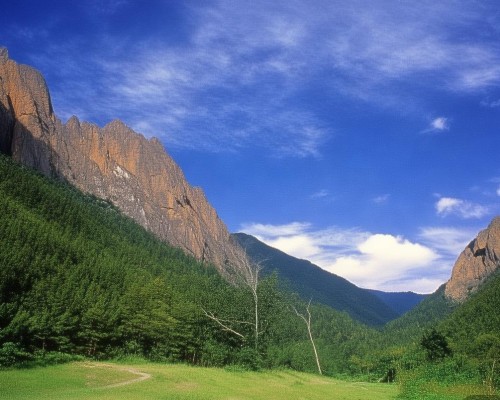 好，我现在需要帮用户写一篇关于包膜挛缩的文章。用户是上海的鼻整形医生，所以文章需要专业且详细。首先，我得理解什么是包膜挛缩，它在鼻整形中的作用和影响
