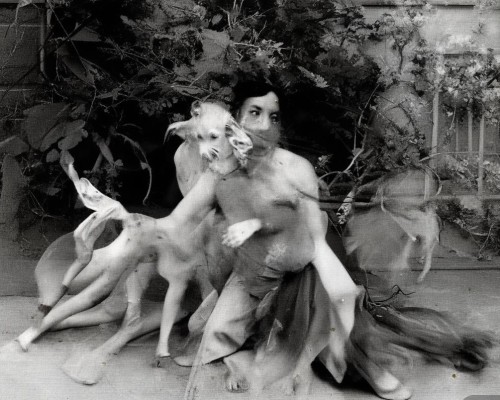 好，我现在需要帮用户写一篇关于外伤性鼻畸形修复的文章。用户是上海鼻整形医生，所以文章需要专业且详细。首先，我得理解用户的需求，他们可能需要一篇结构清晰、内容详实的文章，可能用于教学、参考或者患者指导