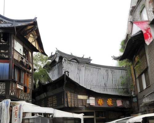 好，我现在需要帮用户写一篇关于鼻综合的文章。用户是上海鼻整形医生，所以文章需要专业且详细。首先，我得理解鼻综合这个词的含义，它应该指的是鼻部整形手术，可能包括鼻梁、鼻尖、鼻孔等多方面的调整