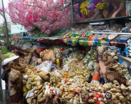 好，我现在需要帮用户写一篇关于蒜头鼻的文章。首先，我得弄清楚用户的需求是什么。用户设定自己是一个上海鼻整形医生，所以文章需要专业且有深度，同时要符合医疗内容的规范