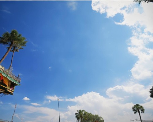 好，我现在需要帮用户写一篇关于朝天鼻修复的文章。用户是一位上海的鼻整形医生，所以文章需要专业且详细。首先，我得理解朝天鼻修复是什么意思。朝天鼻是指鼻梁低平，形状像朝天，可能会影响面部美观和气质