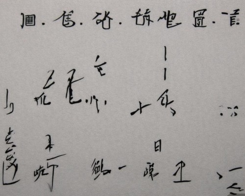 好，我现在需要帮用户写一篇关于直鼻微翘鼻整形的文章。首先，我得理解用户的需求。用户是一位上海的鼻整形医生，所以文章需要专业且详细，同时要吸引读者，可能包括潜在的求美者和鼻整形领域的专业人士