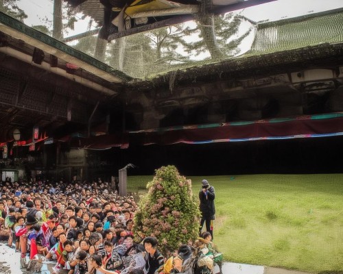 好，我现在需要帮用户写一篇关于自体软骨鼻整形的文章。用户是上海的鼻整形医生，所以文章需要专业且详细。首先，我得确定文章的结构，通常包括标题、引言、材料、方法、结果、讨论和结论