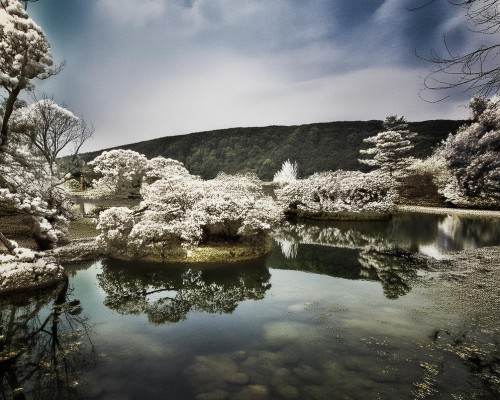 接下来，用户要求先写标题，再写不少于1255个字的文章内容。所以，我得先想一个合适的标题，能够准确反映文章内容，比如小翘鼻的成因与矫正方案或者小翘鼻整形手术指南