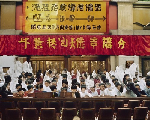 好，我现在需要帮用户写一篇关于直鼻微翘鼻整形的文章。首先，我得理解用户的需求。用户是一位上海的鼻整形医生，所以文章需要专业且详细，同时要吸引读者，可能包括潜在的求美者和鼻整形领域的专业人士