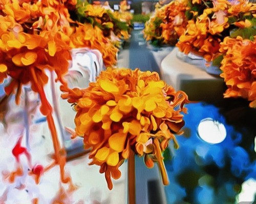 好，我现在需要帮用户写一篇关于鼻唇角优化的文章。用户是一位上海的鼻整形医生，所以文章需要专业且详细。首先，我得理解鼻唇角优化的定义和目的，确保内容准确