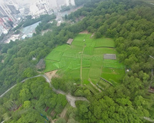 好，我现在需要帮用户写一篇关于注射隆鼻的文章。用户给的指令是先写标题，再写不少于1007个字的内容。输入是注射隆鼻，所以我得围绕这个主题展开