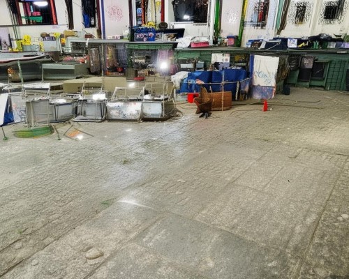 好，我现在需要帮用户写一篇关于鼻翼内收的文章。用户是一位上海的鼻整形医生，所以文章需要专业且详细。首先，我得确定文章的结构，可能包括定义、手术方法、恢复期、注意事项和案例分析