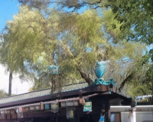 好，我现在需要帮用户写一篇关于鼻修复手术的文章。用户是上海鼻整形医生，所以文章需要专业且详细。首先，我得确定文章的结构，可能包括手术前的准备、手术过程、恢复期以及注意事项等部分