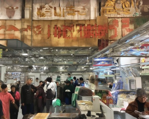 好，我现在需要帮用户写一篇关于包膜挛缩的文章。用户是上海的鼻整形医生，所以文章需要专业且详细。首先，我得理解什么是包膜挛缩，它在鼻整形中的作用和影响