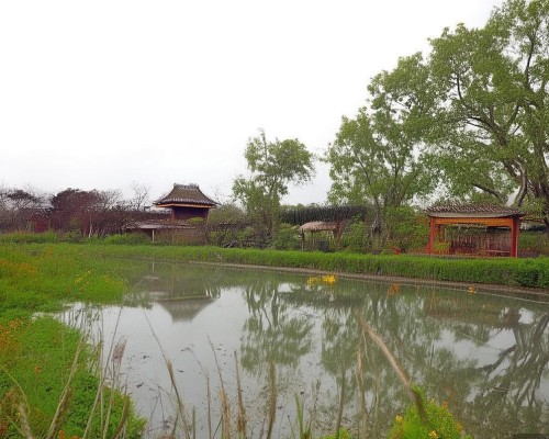 好，我现在需要帮用户写一篇关于网红鼻的文章。用户是上海鼻整形医生，所以文章需要专业且有深度。首先，我得理解用户的需求，他们可能想了解网红鼻的流行趋势、背后的原因以及对患者的影响