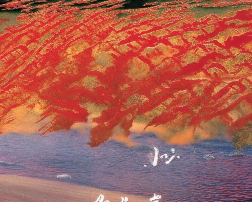 好，我现在需要帮用户写一篇关于鼻头肥大缩小的文章。用户是上海的鼻整形医生，所以文章需要专业且详细。首先，我得确定文章的结构，通常包括标题、引言、鼻头肥大的原因、手术方法、恢复过程、注意事项以及结论