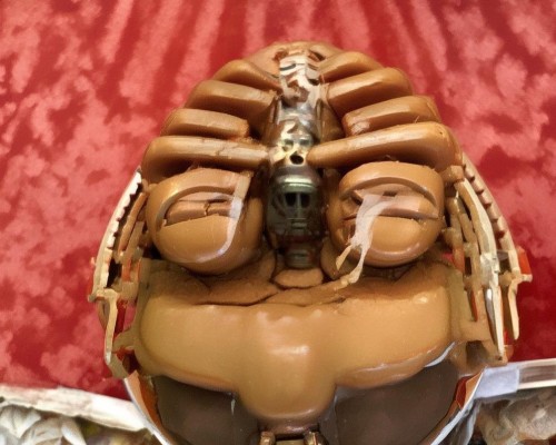 好，我现在需要帮用户写一篇关于鼻头肥大缩小的文章。用户是上海的鼻整形医生，所以文章需要专业且详细。首先，我得确定文章的结构，可能包括标题、引言、鼻头肥大的原因、手术方法、恢复过程、注意事项以及结论