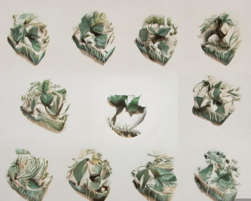 好，我现在需要帮用户写一篇关于鼻唇角优化的文章。用户是一位上海的鼻整形医生，所以文章需要专业且详细。首先，我得理解鼻唇角优化的定义和目的，确保内容准确