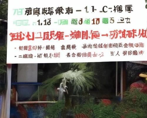 好，我现在需要帮用户写一篇关于鼻翼过宽矫正的文章。用户是上海的鼻整形医生，所以文章需要专业且详细。首先，我得确定文章的结构，可能包括手术前的检查、手术过程、恢复期以及注意事项等部分