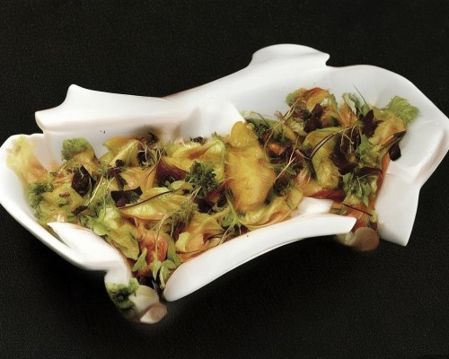 好，我现在需要帮用户写一篇关于鼻唇角优化的文章。用户是一位上海的鼻整形医生，所以文章需要专业且详细。首先，我得理解鼻唇角优化的定义和目的，确保内容准确