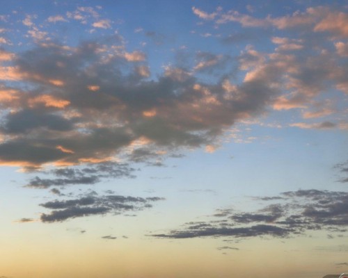 好，我现在需要帮用户写一篇关于鼻综合的文章。用户是上海鼻整形医生，所以文章需要专业且详细。首先，我得明确文章的结构，可能包括鼻综合的定义、手术过程、注意事项、恢复期以及选择医生的重要性