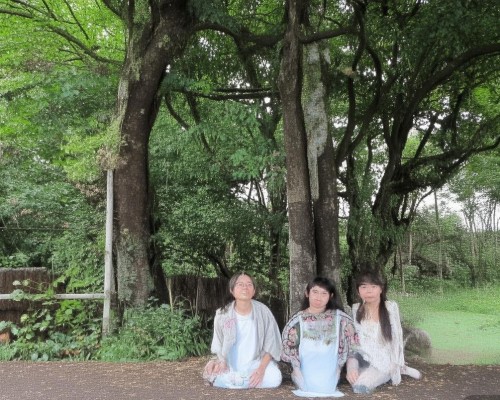 好，我现在需要帮用户写一篇关于垫高鼻梁的文章。用户是一位上海的鼻整形医生，所以文章需要专业且详细。首先，我得确定文章的结构，通常包括标题、引言、垫高方法、注意事项、恢复期、安全性和常见问题等部分