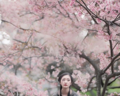 外伤性鼻畸形修复